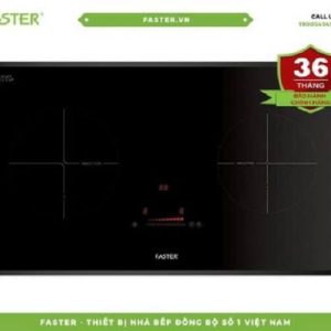 Bếp từ Faster FS741GI