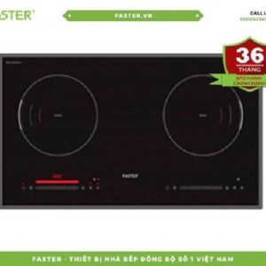 Bếp từ Faster FS 999IN