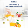 Máy ép chậm KALITE KL-531 10 Máy ép chậm KALITE KL-531
